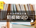 未来新趋势,布局短视频SEO,如何利用抖音SEO免费获得精准流量(3节课)-苏柒资源库