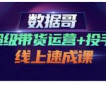 数据哥·超级带货运营+投手线上速成课,快速提升运营和熟悉学会投手技巧-苏柒资源库
