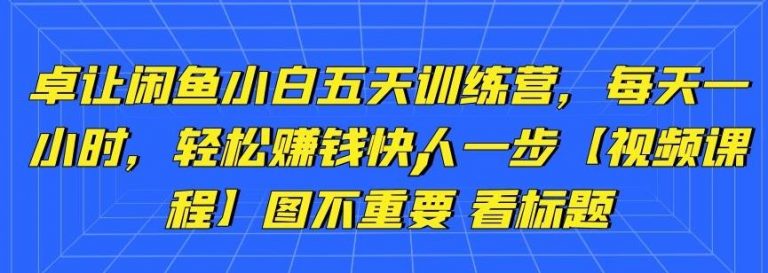 卓让闲鱼小白五天训练营，每天一小时，轻松赚钱快人一步-苏柒资源库