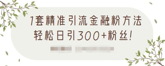 1套精准引流金融粉方法，轻松日引300+粉丝-苏柒资源库