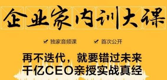 企业家内训大课，未来企业必学经验，价值1299元-苏柒资源库