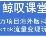 鲸叹号·海外TIKTOK训练营,百万项目海外版抖音tiktok流量变现玩法-苏柒资源库