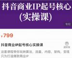 抖音商业IP起号核心实操课，带你玩转算法，流量，内容，架构，变现-苏柒资源库