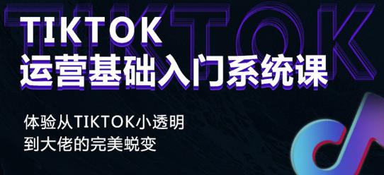 Tiktok实操进阶课程，体验从tiktok小透明到大佬的完美蜕变-苏柒资源库