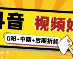 (燃烧好物)抖音视频好物分享实操课程(0粉+拆解+中期+后期)-苏柒资源库
