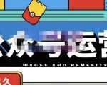 零零已久·从0-1运营公众号,零基础小白也能上手,系统性了解公众号运营-苏柒资源库