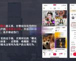 麦子互娱短视频带货·0基础做好物分享账号,无需出镜无需货源无需拍摄-苏柒资源库