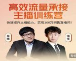 高效流量承接主播训练营:快速提升主播能力,实现100万销售直播间-苏柒资源库