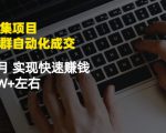 虚拟图集项目:矩阵站群自动化成交,3-5个月实现快速赚钱月入1W+左右-苏柒资源库
