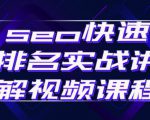 seo快速排名实战讲解视频课程,揭秘seo快排原理-苏柒资源库