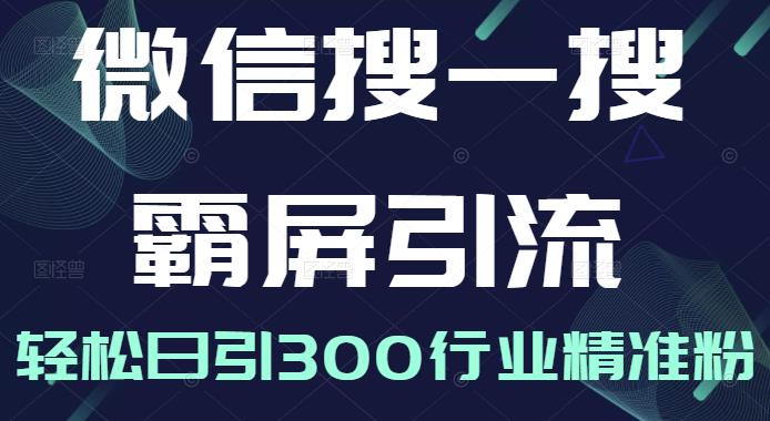 微信搜一搜霸屏引流课，打造被动精准引流系统，轻松日引300行业精准粉-苏柒资源库