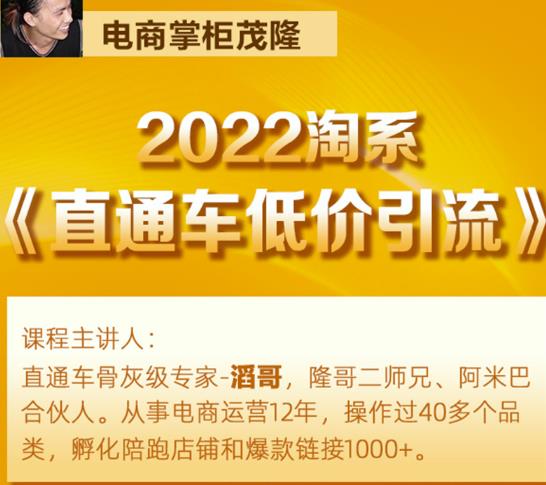 茂隆2022直通车低价引流玩法，教大家如何低投入高回报的直通车玩法-苏柒资源库