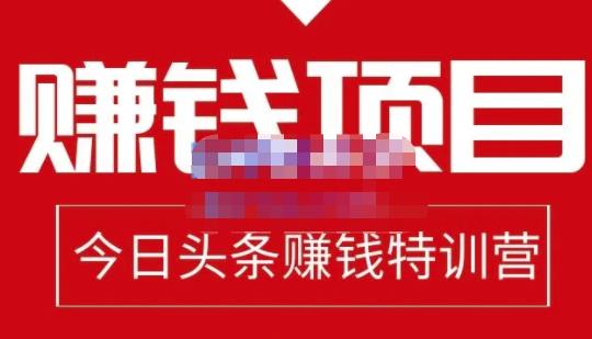 懒人领域·今日头条项目玩法，头条中视频项目，单号收益在50—500可批量-苏柒资源库