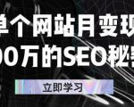 单个网站月变现100万的SEO秘密,百分百做出赚钱站点-苏柒资源库