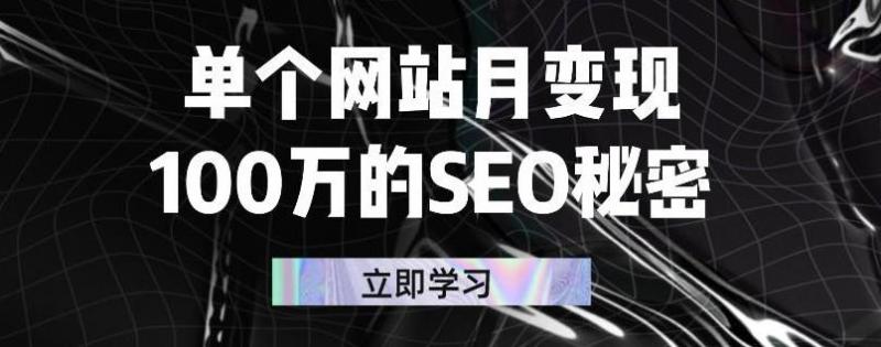 单个网站月变现100万的SEO秘密，百分百做出赚钱站点-苏柒资源库