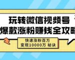 玩转微信视频号爆款涨粉赚钱全攻略,快速涨粉百万变现万元秘诀-苏柒资源库