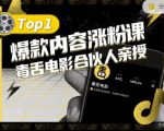 【毒舌电影合伙人亲授】抖音爆款内容涨粉课,5000万抖音大号首次披露涨粉机密-苏柒资源库