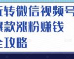 玩转微信视频号爆款涨粉赚钱全攻略，让你快速抓住流量风口，收获红利财富-苏柒资源库