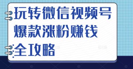 玩转微信视频号爆款涨粉赚钱全攻略，让你快速抓住流量风口，收获红利财富-苏柒资源库
