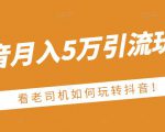 老古董·抖音月入5万引流玩法,看看老司机如何玩转抖音(附赠:抖音另类引流思路)-苏柒资源库