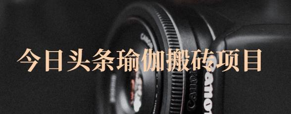 猎人社区·今日头条瑜伽搬砖项目，单号一天几十收入，可以批量操作！-苏柒资源库