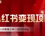 渣圈学苑·小红书虚拟资源变现项目，一起捞钱掘金价值1099元-苏柒资源库
