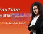 外国人眼中的YouTube该怎么玩?Elisa·YouTube运营推广实战技巧-苏柒资源库