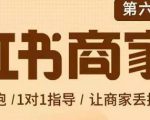 贾真-小红书商家营第6期商家版,21天带货陪跑课,让商家丢掉付流量-苏柒资源库