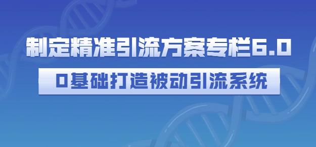 制定精准引流方案专栏6.0，0基础打造被动引流系统-苏柒资源库