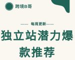 【跨境B哥】独立站潜力爆款选品推荐,测款出单率高达百分之80-苏柒资源库