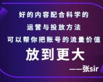 张sir账号流量增长课,告别海王流量,让你的流量更精准-苏柒资源库