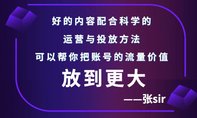 张sir账号流量增长课，告别海王流量，让你的流量更精准-苏柒资源库