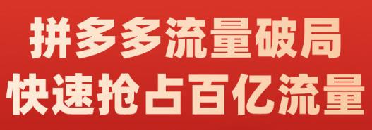 阿杰·拼多多流量破局:如何打黑标，爆款的思路，拼多多流量框架，快速抢占百亿流量-苏柒资源库