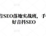 王通·抖音SEO落地实战班,手手带你做好音抖SEO-苏柒资源库