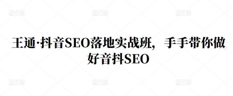 王通·抖音SEO落地实战班,手手带你做好音抖SEO-苏柒资源库