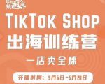 疯人院:TikTok Shop出海训练营(一店卖全球),出海抢占全球新流量-苏柒资源库