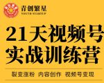 张萌21天视频号实战训练营,裂变涨粉、内容创作、视频号变现 价值298元-苏柒资源库