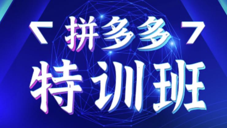 星雪教育·拼多多基础班+进阶班+突破班，用系统的学习模式快速改变现状价值3580元-苏柒资源库