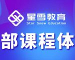 星雪教育淘系高级班,更全的运营提升方案,零基础由浅入深,店铺最新玩法-苏柒资源库