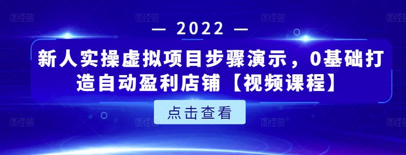 新人实操虚拟项目步骤演示,0基础打造自动盈利店铺【视频课程】-苏柒资源库