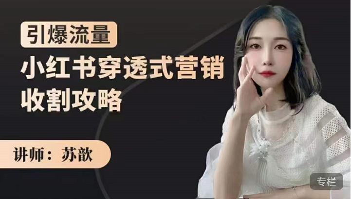 苏歆：小红书穿透式营销收割攻略，引爆流量，助你玩转小红书-苏柒资源库