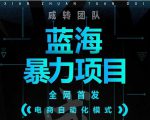 引流哥蓝海暴力躺赚项目:无需发圈无需引流无需售后,每单赚50-500(教程+线报群)-苏柒资源库