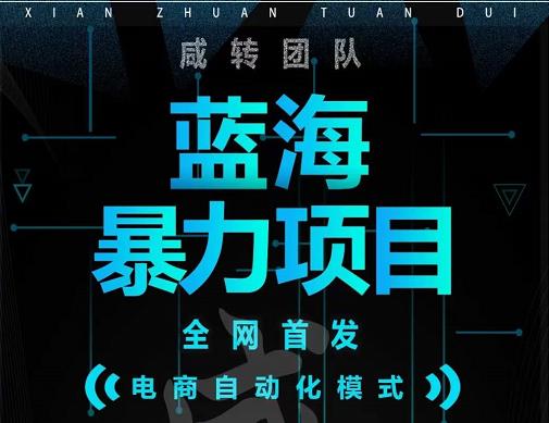 引流哥蓝海暴力躺赚项目：无需发圈无需引流无需售后，每单赚50-500（教程+线报群)-苏柒资源库