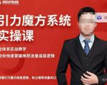 阿呆-引力魔方系统实操课,全体系实战教学,助你快速掌握推荐流量底层逻辑-苏柒资源库