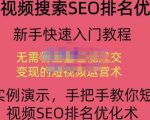 宋老师·短视频搜索SEO优化,教你10分钟创作一个短视频,三天排名上第一-苏柒资源库