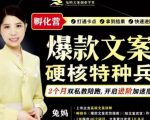 兔妈·爆款文案硬核特种兵孵化营,实现了每个月2000-30000+的副业增收-苏柒资源库