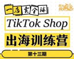TikTokShop出海训练营(第十三期),打开全球流量新思维,出海抢占全球新流量,一店卖全球-苏柒资源库