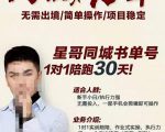 星哥同城教育书单号课程,无需出境简单操作项目稳定-苏柒资源库