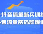 Peter抖音流量新兵训练营-破解抖音流量密码群爆训练营(新兵)-苏柒资源库