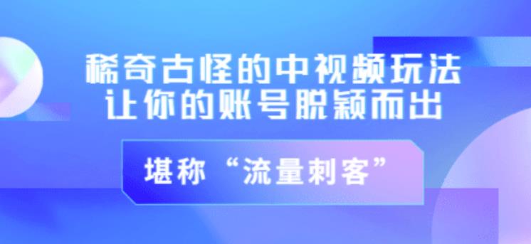 不讲李·稀奇古怪的冷门中视频冷门玩法，让你的账号脱颖而出，成为流量刺客！（图文+视频）-苏柒资源库